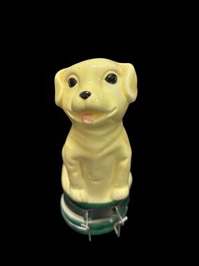 Lab Puppy Secret Stash Spot